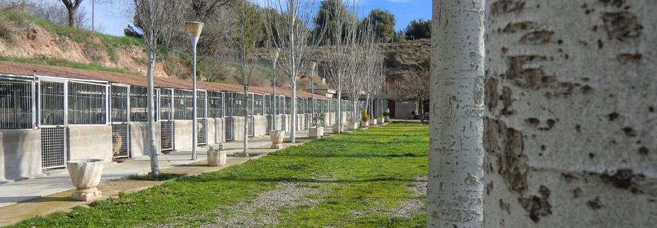 Foto da galeria de BagesDog Residencia Canina